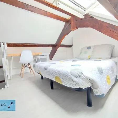Le Ty Briochin - Hypercentre Appartement